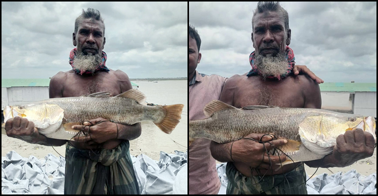 কপোতাক্ষ নদে বড়শিতে ধরা পড়লো ৮ কেজির ভেটকি