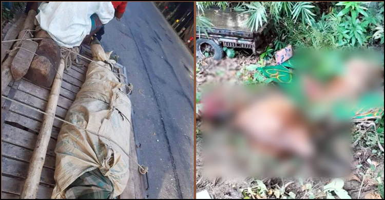 নসিমনে ট্রাকের ধাক্কায় ব্যবসায়ী নিহত, মারা গেলো ৫ গরুও