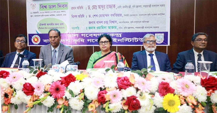 ডালের উৎপাদন বাড়াতে গুরুত্ব দিচ্ছি: কৃষি সচিব