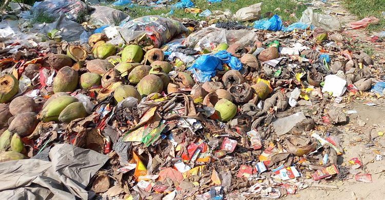 পরিচ্ছন্নতাকর্মীদের কর্মবিরতি, যত্রতত্র ময়লার স্তূপ