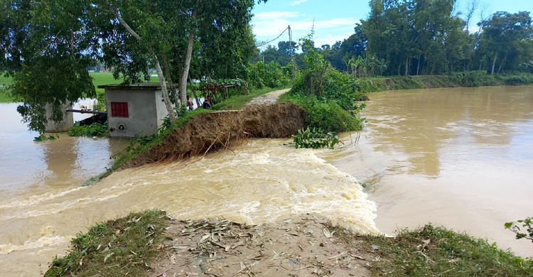 ফুলগাজীতে মুহুরী নদীর বাঁধের দুই স্থানে ভাঙন
