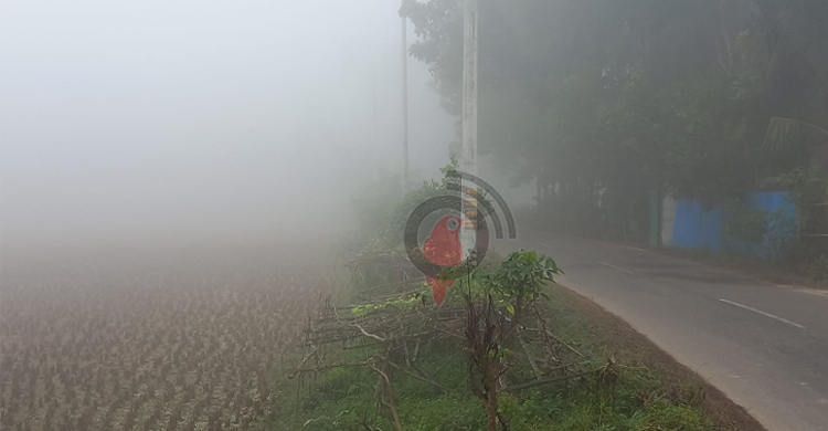শীতে বিপর্যস্ত ফেনীর জনজীবন