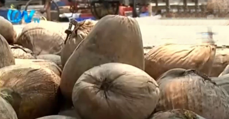 নারিকেলের জন্য পরিচিত ফেনীর ‘সিলোনিয়া বাজার’