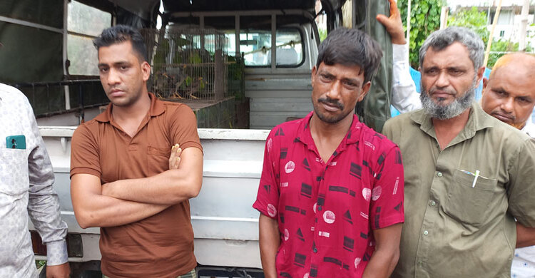 বিক্রির জন্য পাখি আটকে কারাগারে বাবা, এবার গেলেন দুই ছেলে