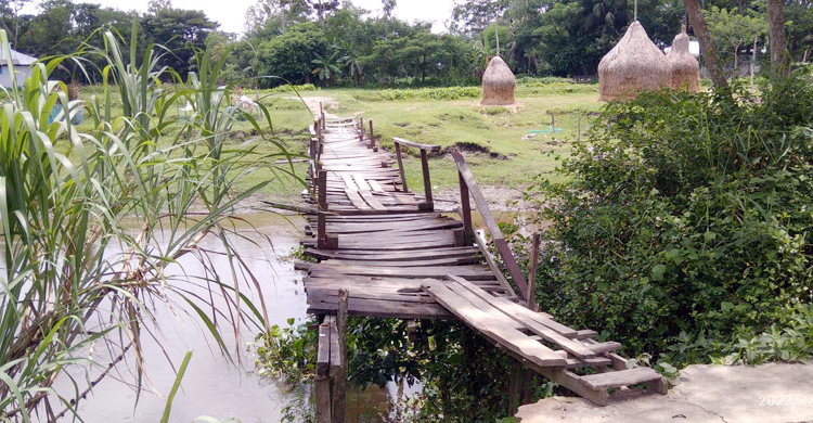 ভাঙাচোরা সাঁকো দিয়ে ঝুঁকি নিয়ে চলাচল