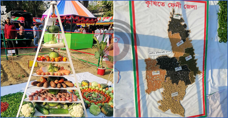 সবজির ‘পিরামিড’ ডালের ‘মানচিত্র’