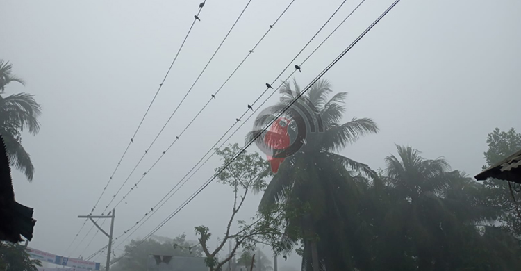 শীতে বিপর্যস্ত ফেনীর জনজীবন