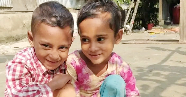 ফ্রিজের বাসি খাবার খেয়ে ভাই-বোনের মৃত্যু