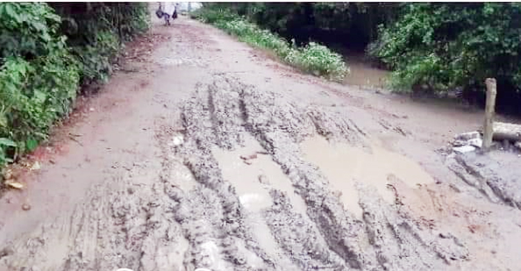 ফেনীতে অর্ধশতাধিক সড়কের বেহাল দশা, জনদুর্ভোগ চরমে