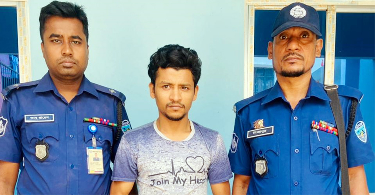 বাড়ির ছাদে গাঁজা চাষ