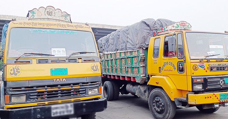 পেঁয়াজের পর এবার বেনাপোলে টিসিবির মসুর ডাল