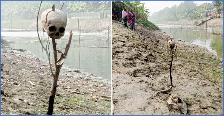 কুমার নদীর পাড়ে মিললো মাথার খুলি