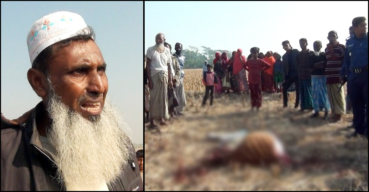 নৌকা সমর্থকের গরুর চার পা মাথা কেটে নিয়ে গেল দুর্বৃত্তরা