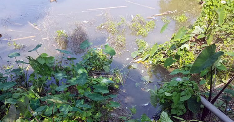 ডোবায় মিললো যমজ শিশুর মরদেহ