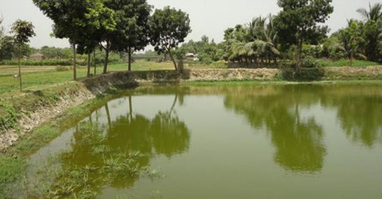 বাড়ির পাশের ডোবায় পড়ে দুই শিশুর মৃত্যু