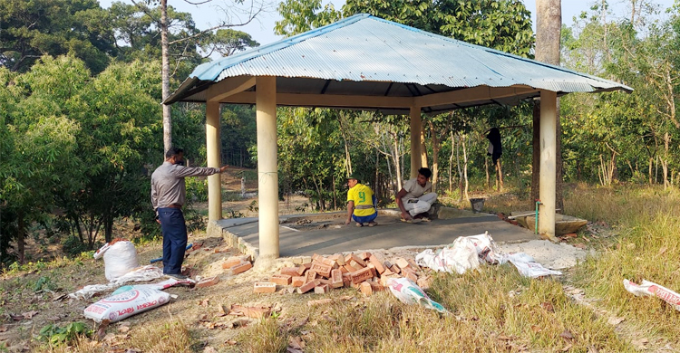 বাড়তি পরিচর্যায় ডুলাহাজারার প্রাণীরা