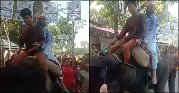স্বামীর মোটরসাইকেল থেকে পড়ে বাসচাপায় স্কুলশিক্ষিকা নি,হত 1 প্রতীক চশমা, প্রচারণা চালাচ্ছেন হাতির পিঠে