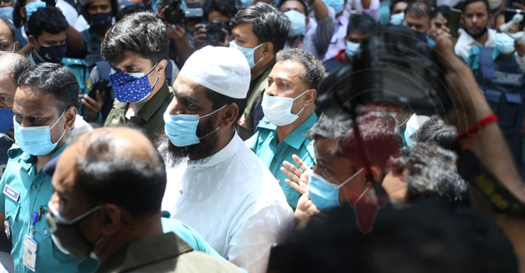 মামুনুলের জামিন চেয়েছেন আইনজীবী