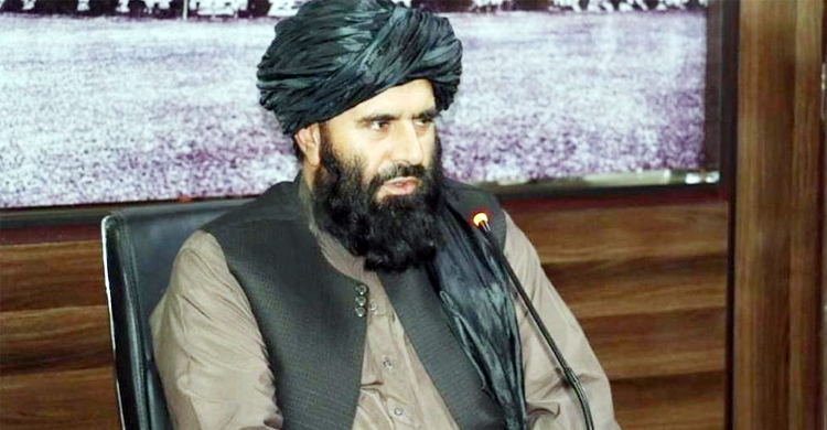 আত্মঘাতী হামলায় নিজ অফিসে তালেবান নেতা নিহত