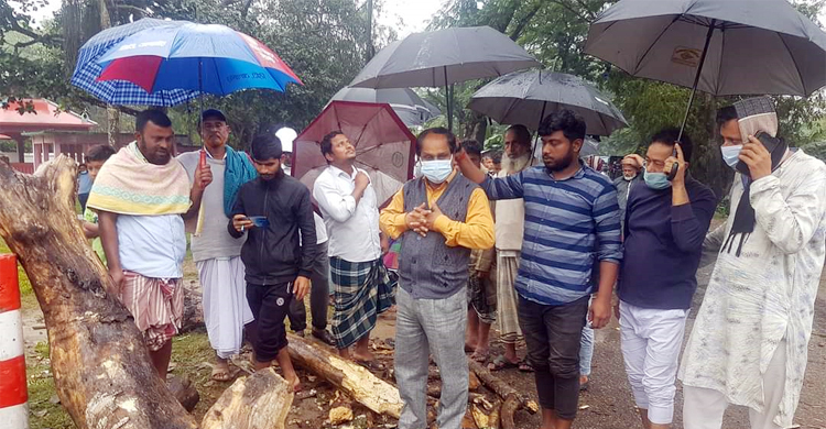 সড়কের পাশের মরা গাছ ভেঙে বৃদ্ধা নিহত