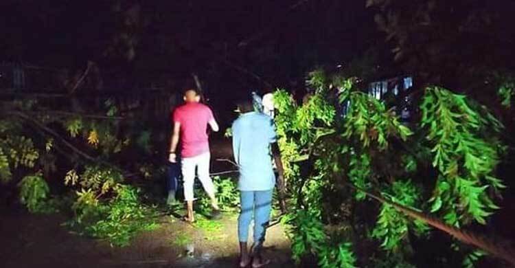 কালবৈশাখী : মহাসড়কে গাছ পড়ে সিরাজগঞ্জে যান চলাচল বন্ধ