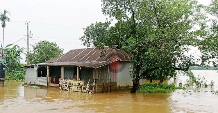 সুনামগঞ্জে পানিবন্দি অর্ধলক্ষাধিক মানুষ