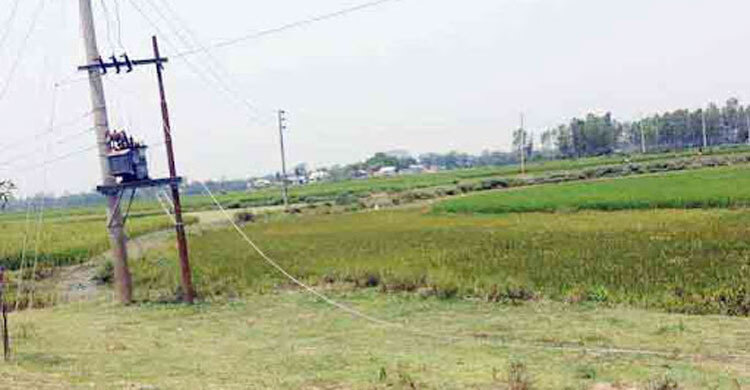 পিডিবির ছেঁড়া তারে বিদ্যুৎস্পৃষ্ট হয়ে মারা গেলেন মা-ছেলে ও নাতি