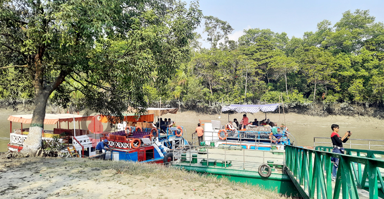 আশানুরূপ পর্যটক নেই সুন্দরবনে