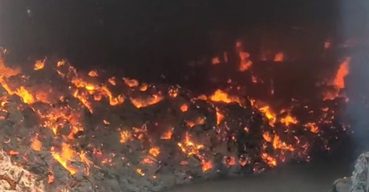 শার্শায় এমপি আফিলের জুটমিলে অগ্নিকাণ্ড