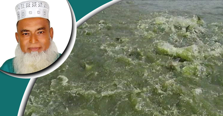 মাছ চাষে বছরে কোটি টাকা আয় জয়নাল আবেদীনের