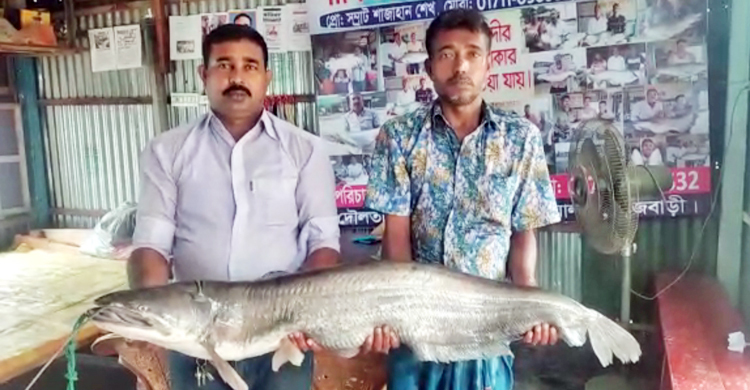 এক বোয়ালই বিক্রি হলো ৩৬ হাজারে