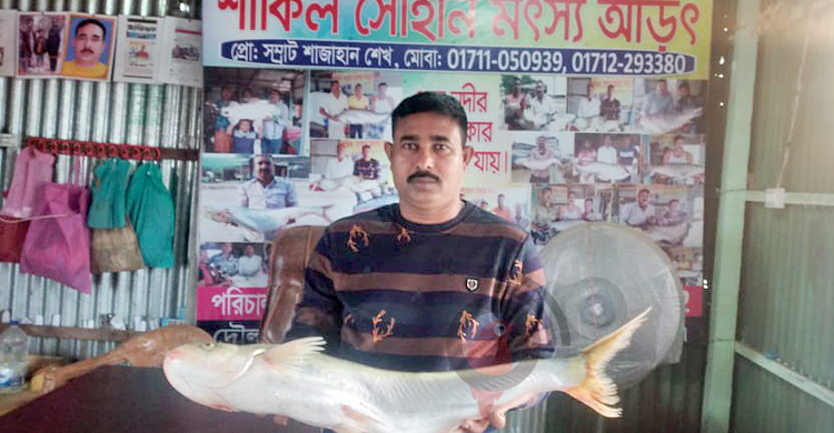 তিন মাছ বিক্রি হলো ৯০ হাজার টাকায়