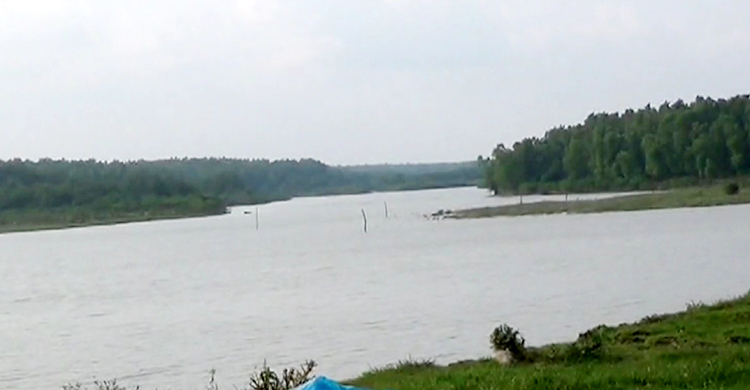 সংরক্ষিত বনাঞ্চলের খালে মাছ শিকারের অনুমতি দেবে না বনবিভাগ