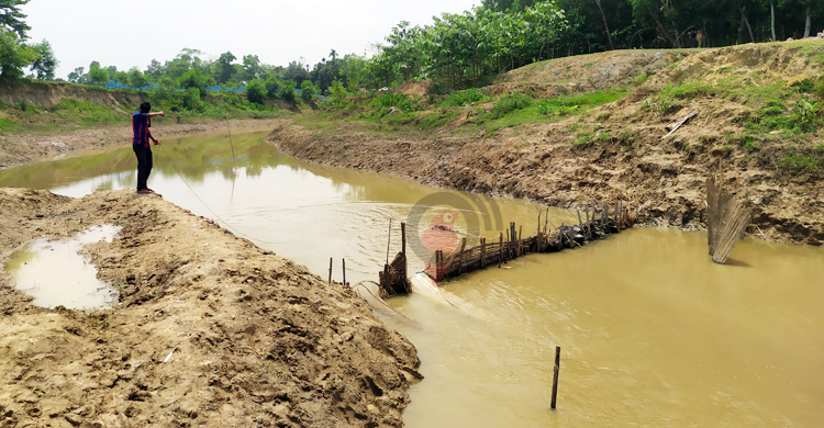 অবৈধভাবে শিকারে ধ্বংস হচ্ছে দেশি মাছ