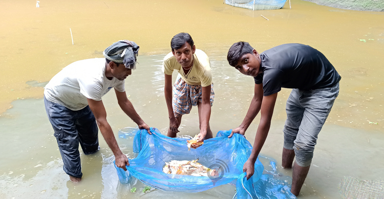রঙিন মাছে নতুন স্বপ্নে বিভোর বিশ্বজিৎ