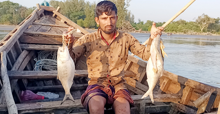 নিষেধাজ্ঞা শেষেও ইলিশ না পেয়ে হতাশ জেলেরা