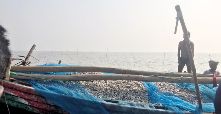 নিষিদ্ধ জালে হুমকিতে চর বিজয়ের জীববৈচিত্র্য