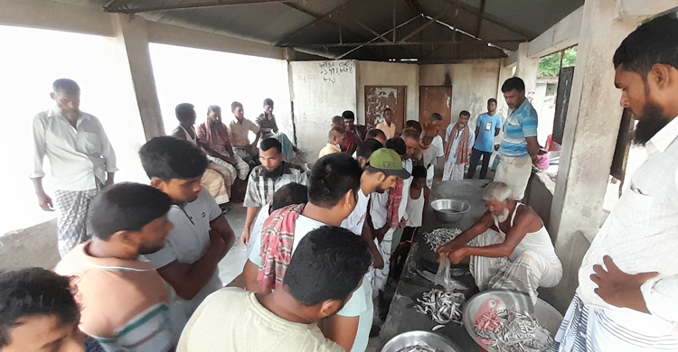 পদ্মায় তীব্র মাছ সংকট, দিশেহারা জেলেরা