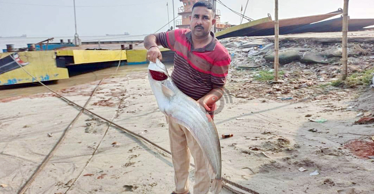 এক বোয়ালের দাম ২৭ হাজার টাকা