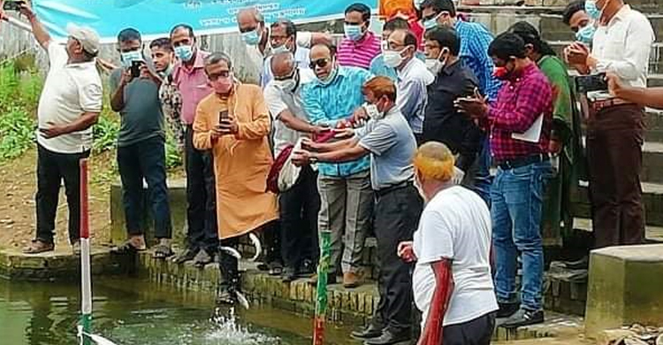 জগন্নাথ হল-ঢাকেশ্বরী মন্দির পুকুরে মাছের পোনা অবমুক্ত