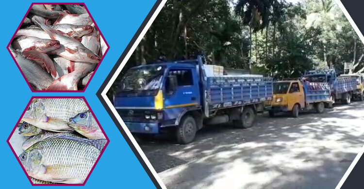 করোনায় রফতানি বাণিজ্যে আশা জাগাচ্ছে মাছ
