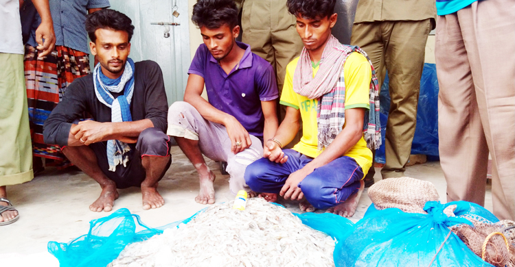 সুন্দরবনে বিষ দিয়ে মাছ শিকার, আটক ৩
