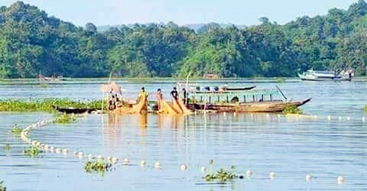 কাপ্তাই হ্রদে মাছ ধরায় নিষেধাজ্ঞা বাড়লো ১০ দিন