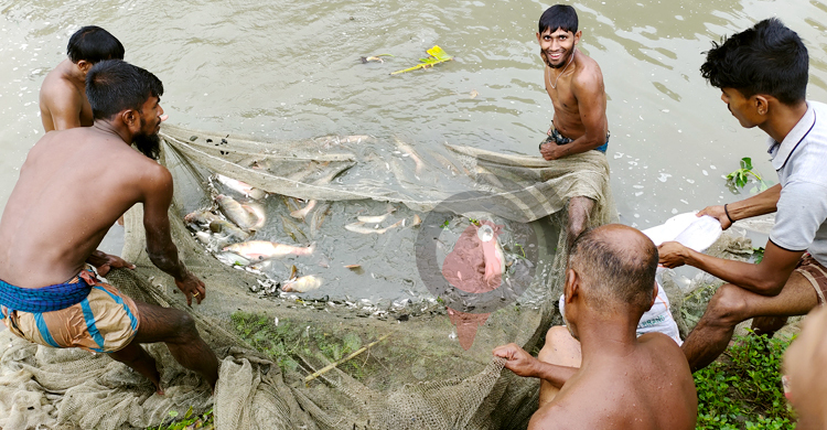 দক্ষিণাঞ্চলের মৎস্য ও কৃষি পণ্যের লাইফ লাইন পদ্মা সেতু