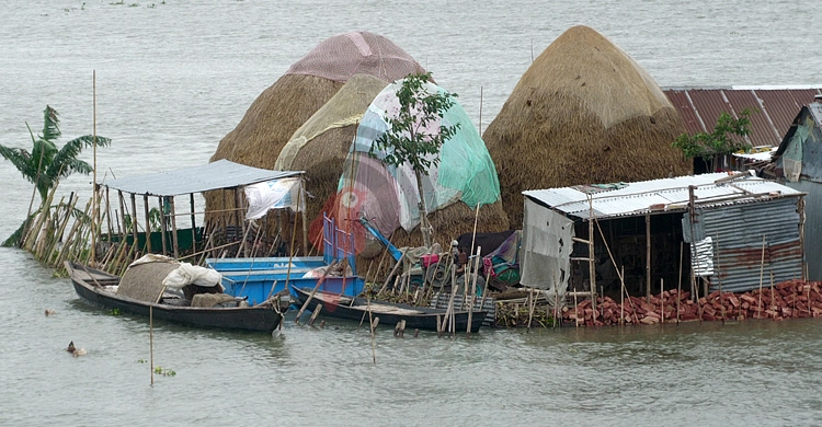 নেত্রকোনায় ভেসে গেছে ৩০ হাজার পুকুরের মাছ
