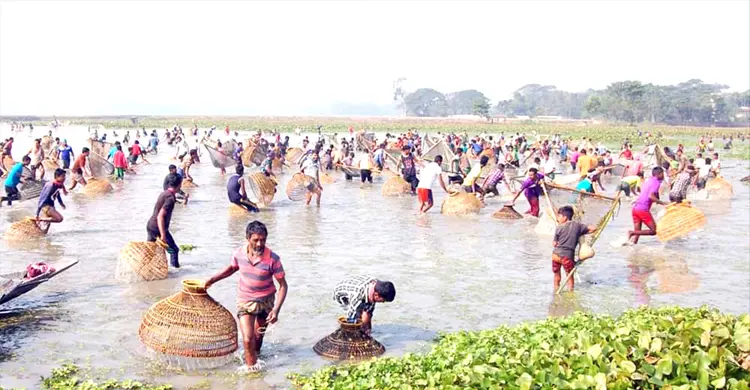 গোয়াহরির বুকে ঐতিহ্যবাহী পলো বাওয়া উৎসব