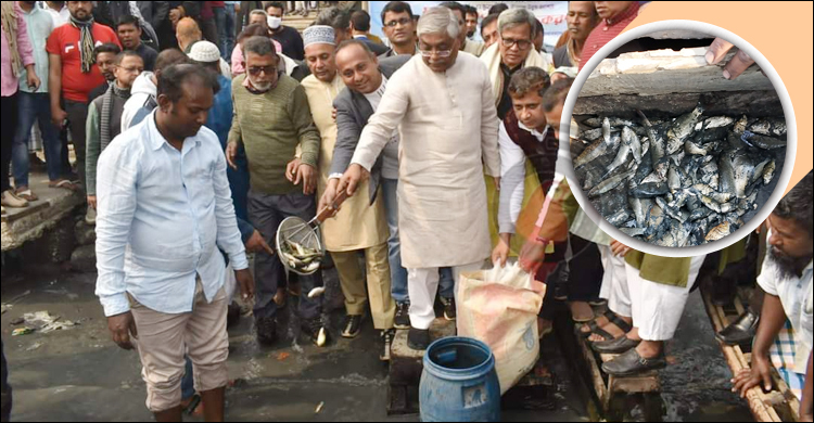 শীতলক্ষ্যায় অবমুক্তের পর ভেসে উঠলো পোনামাছ, নিয়ে গেলো জনতা