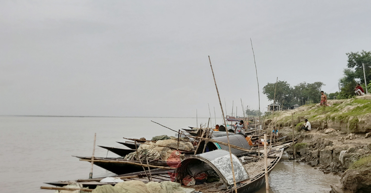 পদ্মায় তীব্র মাছ সংকট, দিশেহারা জেলেরা