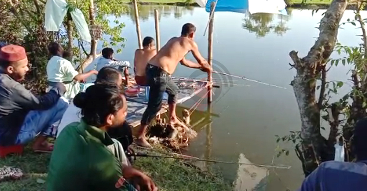 কলাপাড়ায় প্রথমবারের মতো চলছে বড়শি দিয়ে মাছ ধরা উৎসব