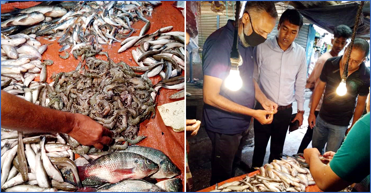 চিংড়িতে বিষাক্ত জেলি, বিক্রেতার ১০ হাজার টাকা জরিমানা
